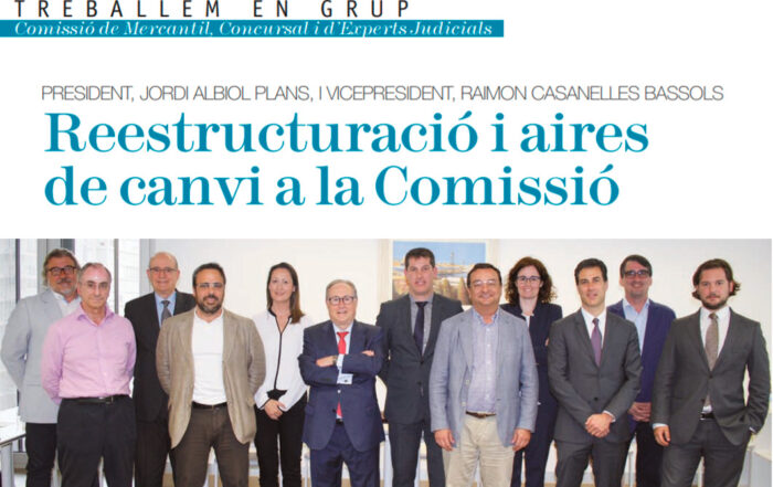 Renovación de la Comisión de Mercantil, Concursal y Expertos Judiciales