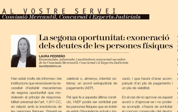 Artículo Ley Segunda oportunidad